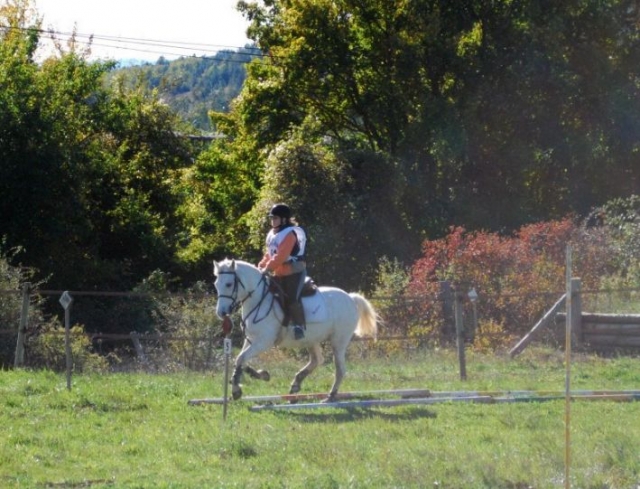 Caballo al trole 
